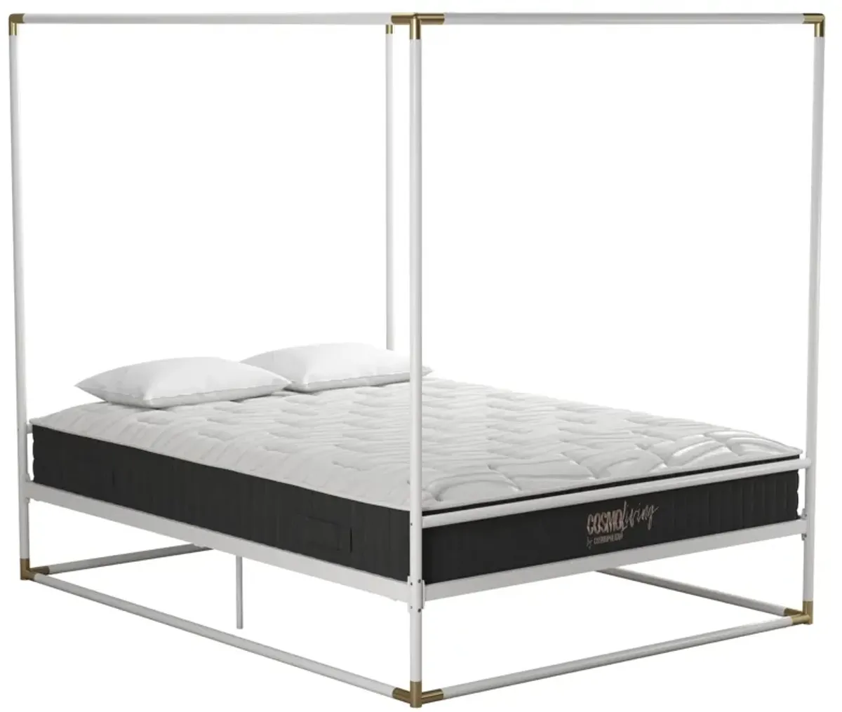 Celeste Canopy Metal Bed