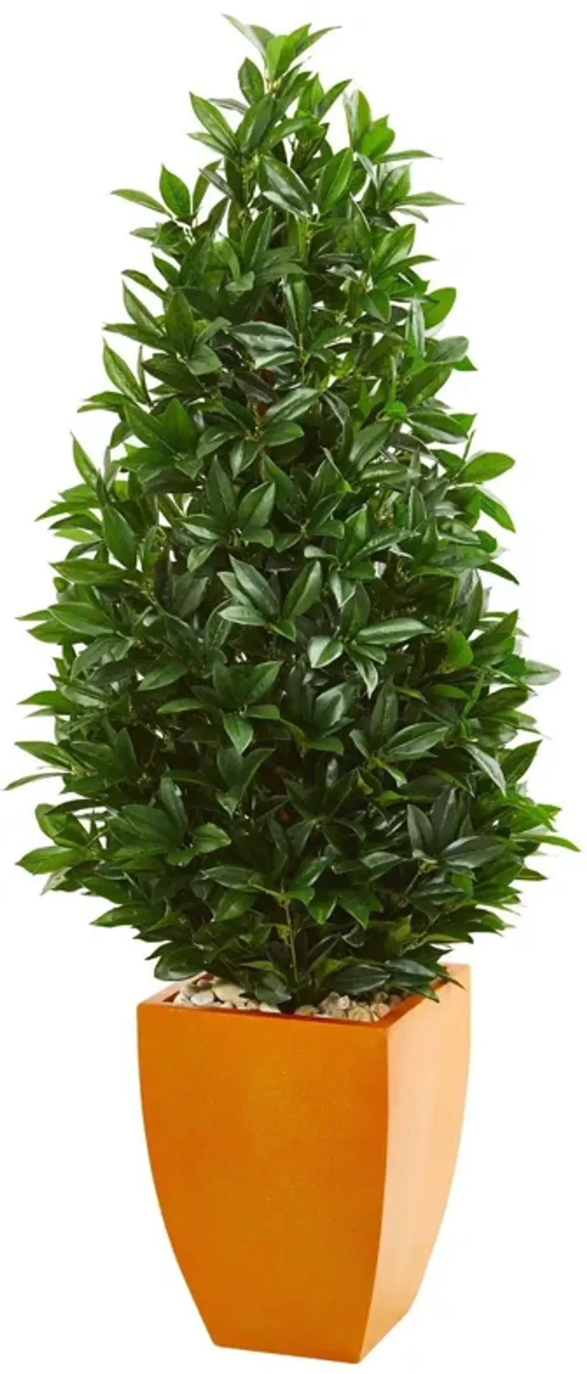 Nearly Natural 57-in Bay Leaf Cone Topiary in Org Planter UV (Indoor/Outdoor)
