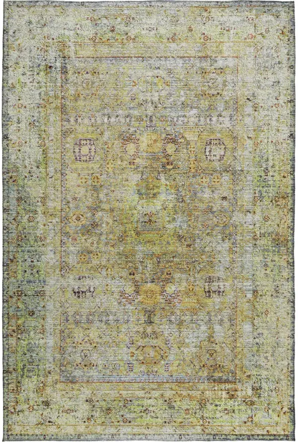 Karaj KJ1 Aloe 30" x 46" Rug