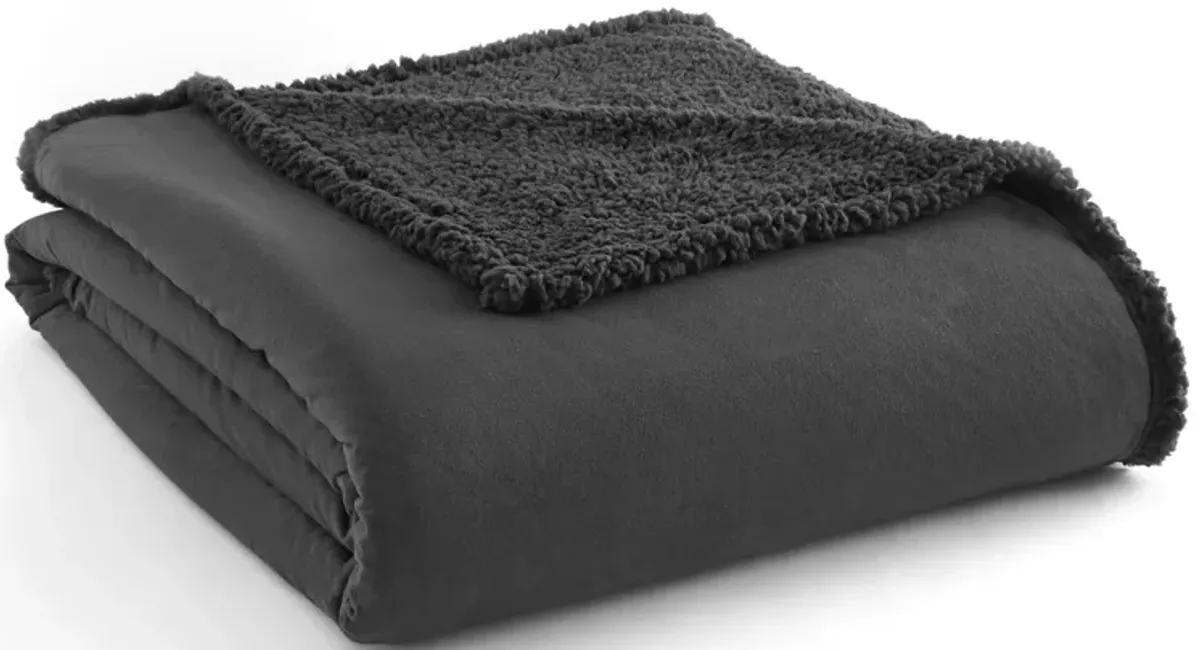 Micro Flannel Reverse to Sherpa Blanket, Full/Queen