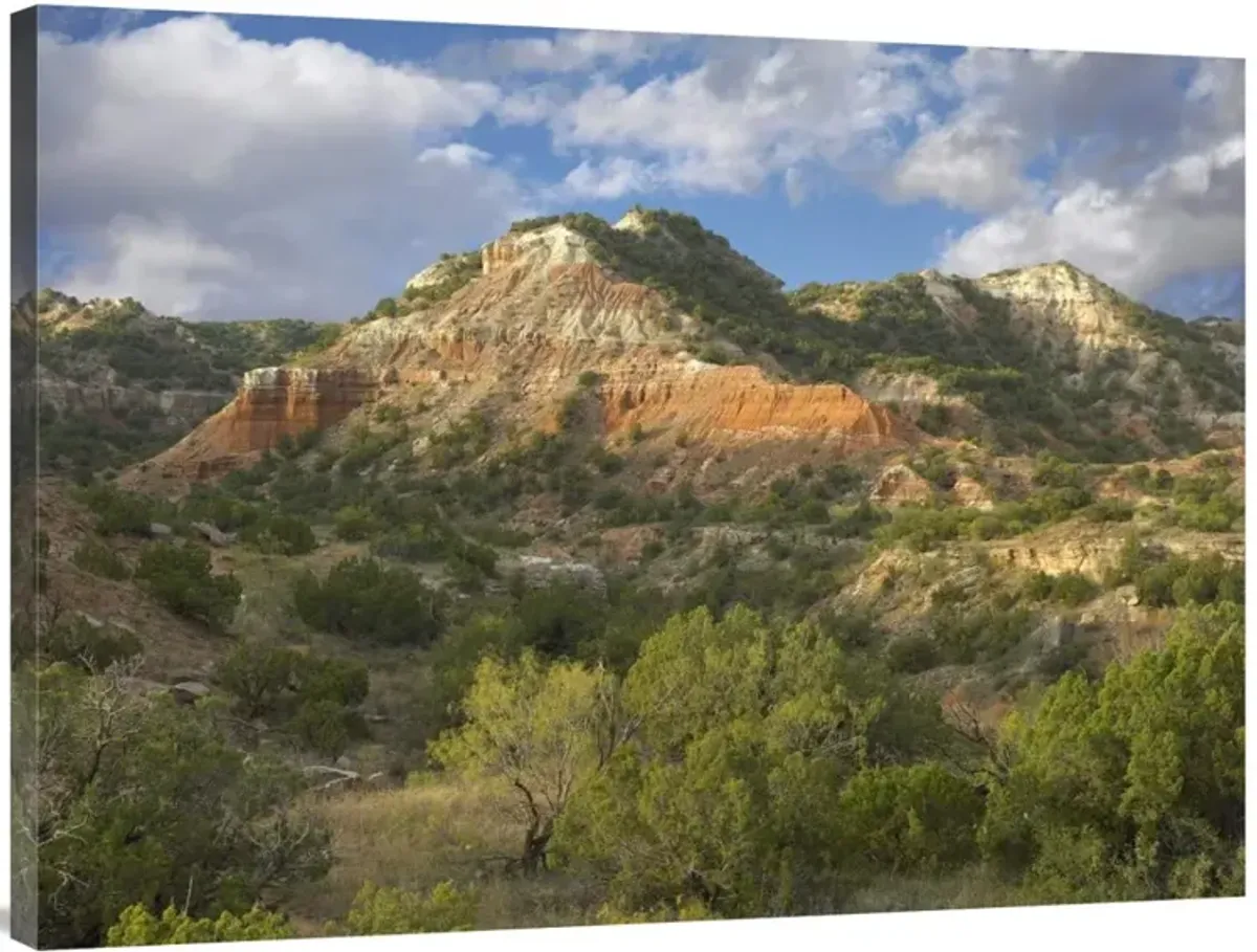 Sandstone mountains, Palo Duro Canyon State Park, Texas-Canvas Art-40x30