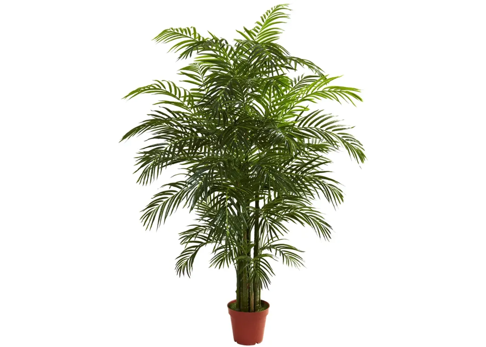 HomPlanti 6.5 Feet Areca Palm UV Resistant (Indoor/Outdoor)