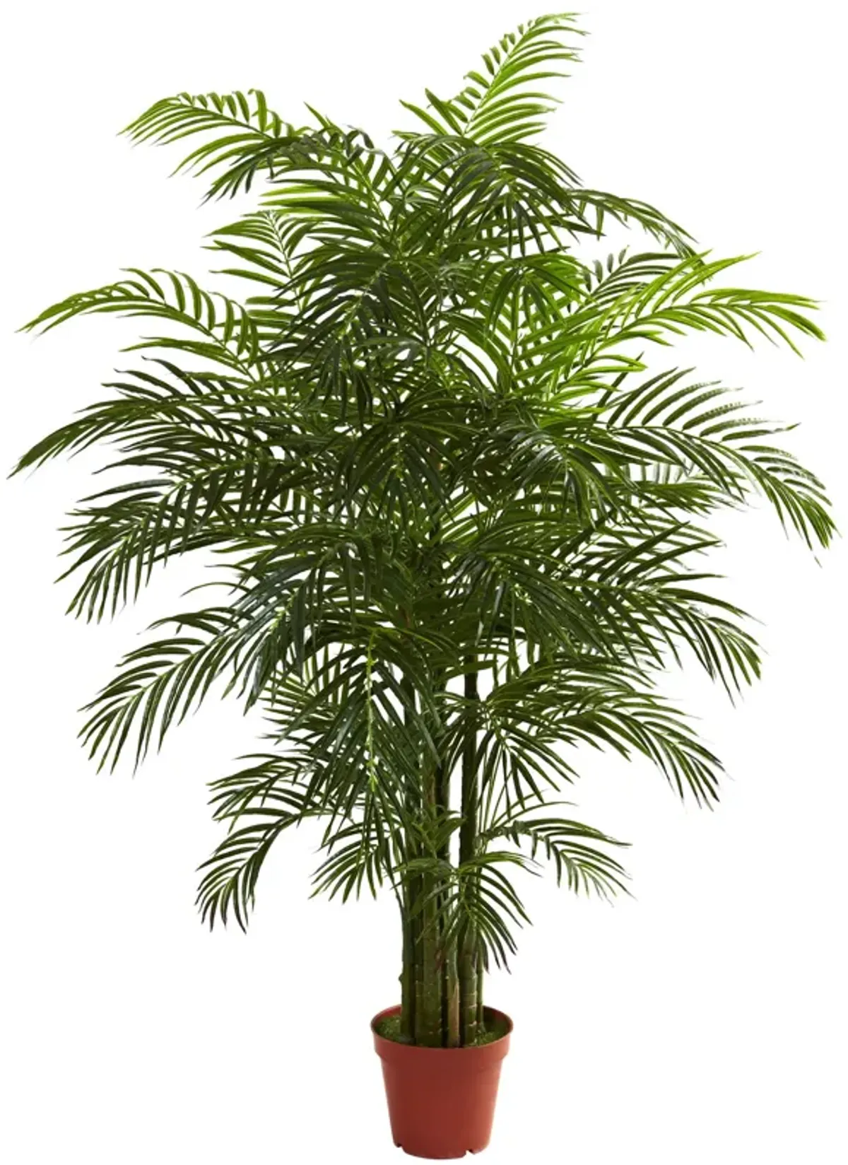 HomPlanti 6.5 Feet Areca Palm UV Resistant (Indoor/Outdoor)