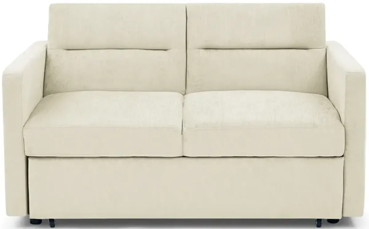 Merax Chenille Loveseats Sofa with Pull-out Bed