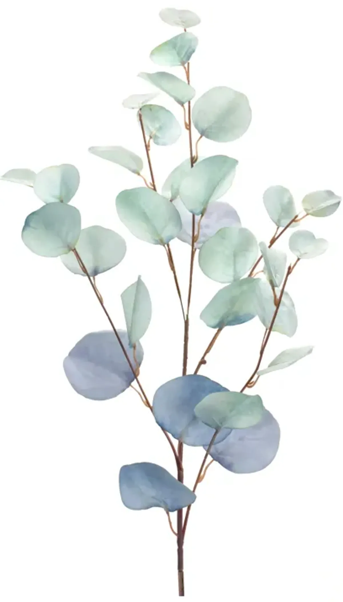 Dollar Eucalyptus Leaf Spray for Elegant Home Décor and Floral Arrangements (Set of 6)