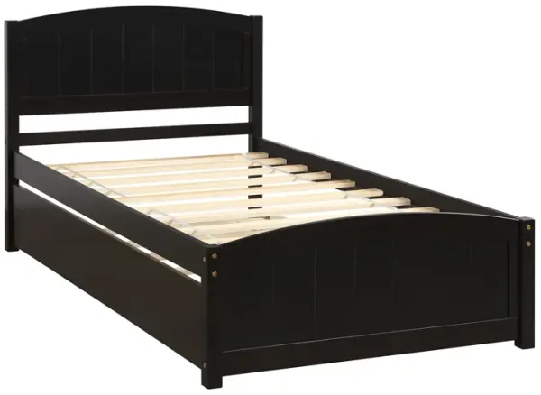 Twin size Platform Bed with Trundle