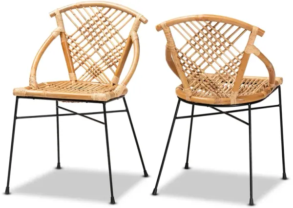 Baxton Studio Pro Modern Bohemian Natural Brown Rattan and Black Metal 2-Piece Dining Chair Set