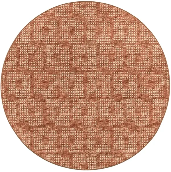 Delano DA1 Paprika 4' Rug