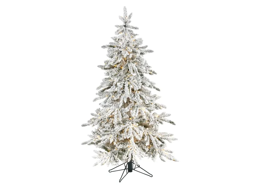 HomPlanti 5 Feet Flocked Grand Northern Rocky Fir Artificial Christmas Tree with 650 Warm Micro (Multifunction with Remote Control) LED Lights, Instant Connect Technology and 386 Bendable Branches