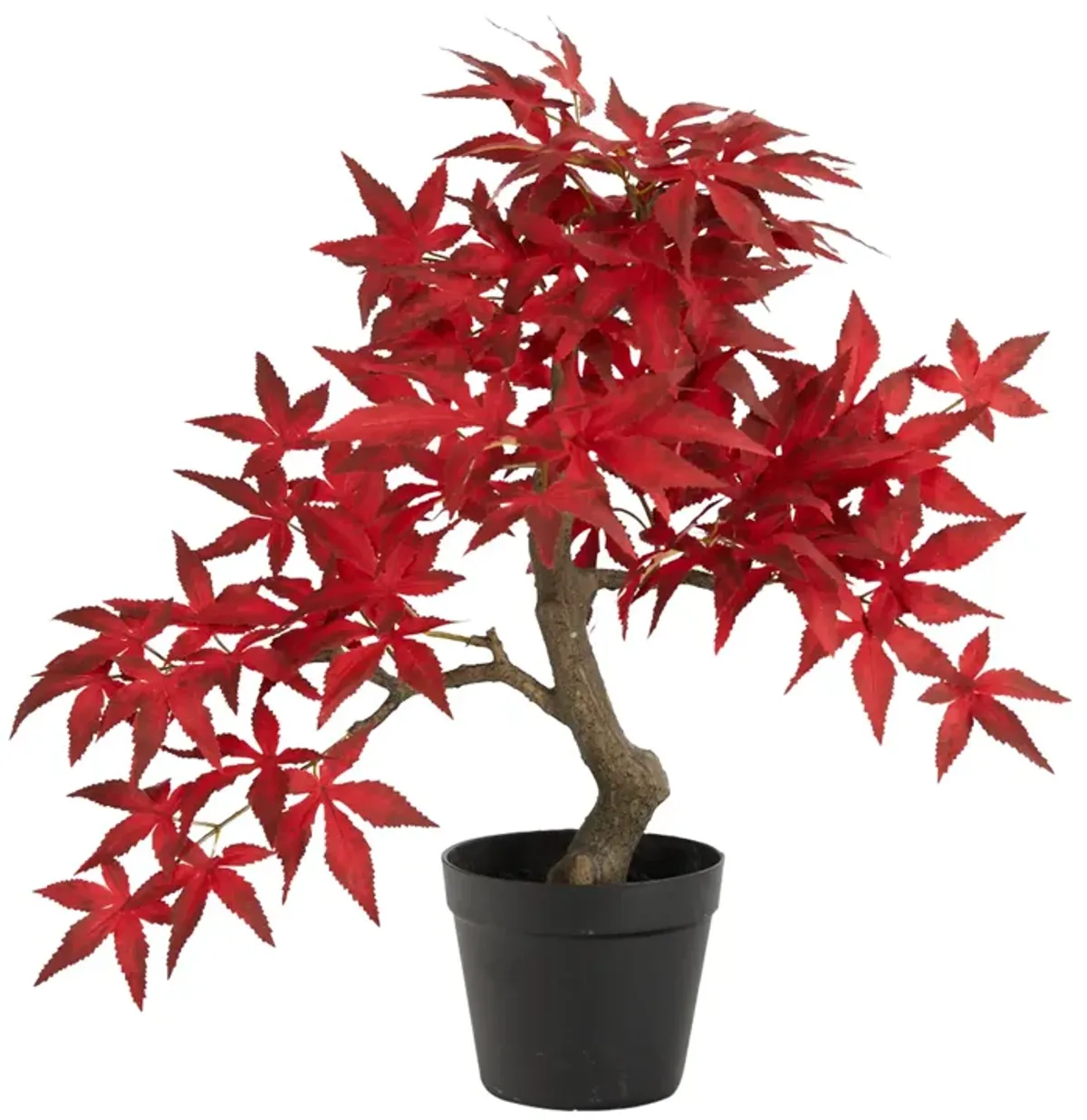 Nearly Natural 20-in Autumn Maple Bonsai