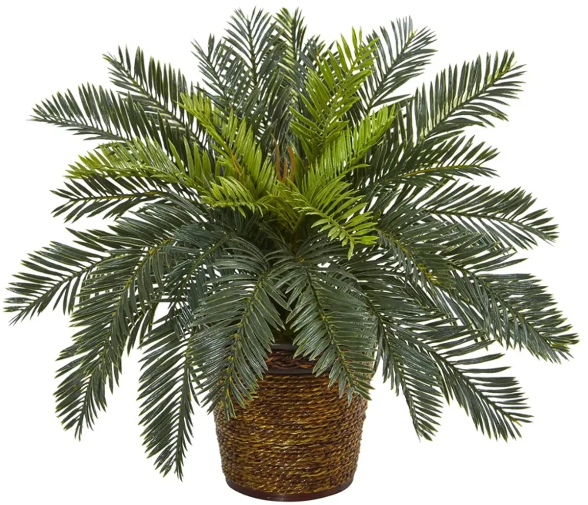 Hivvago 15" Cycas Artificial Plant in Basket