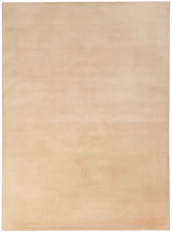 Taspinar Beige 8' x 10' Rug