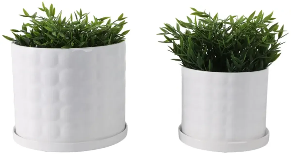 Ceramic Bubble Planter (Set of 2)