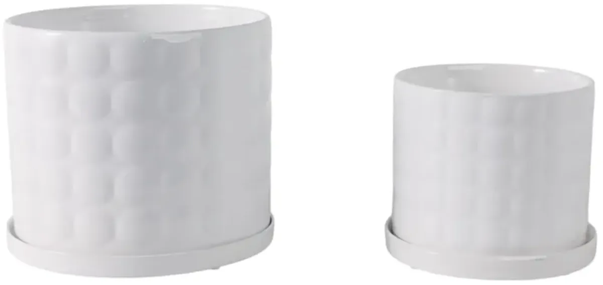 Ceramic Bubble Planter (Set of 2)