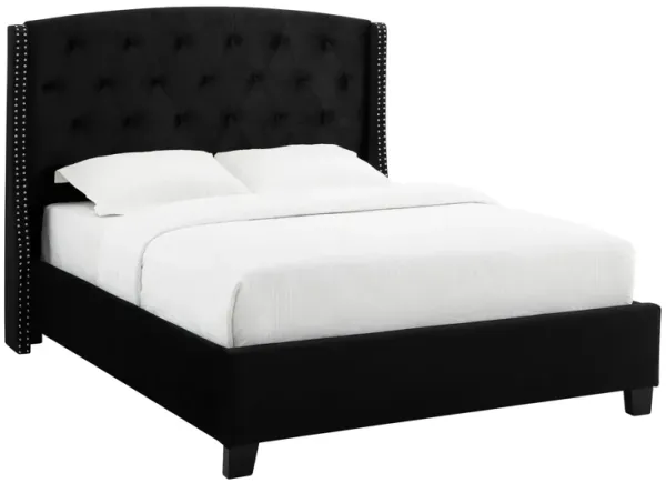 Benjara James King Size Bed, Platform Style, Button Tufted Black Velvet Upholstery