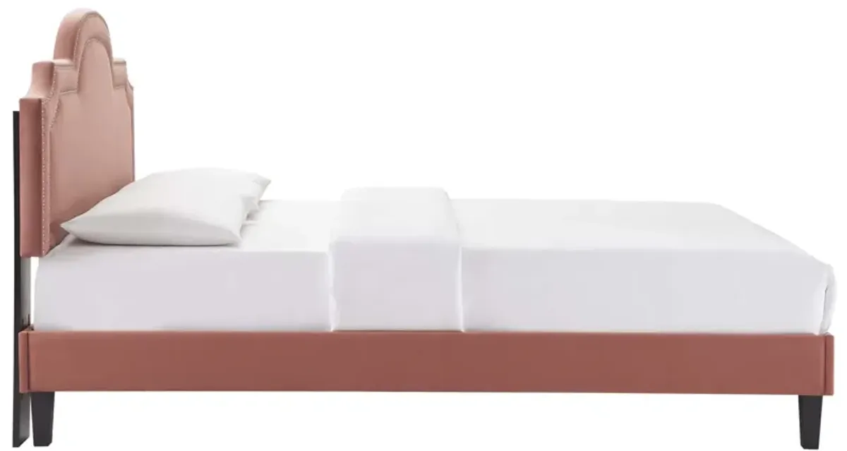 Modway - Aviana Performance Velvet Twin Bed