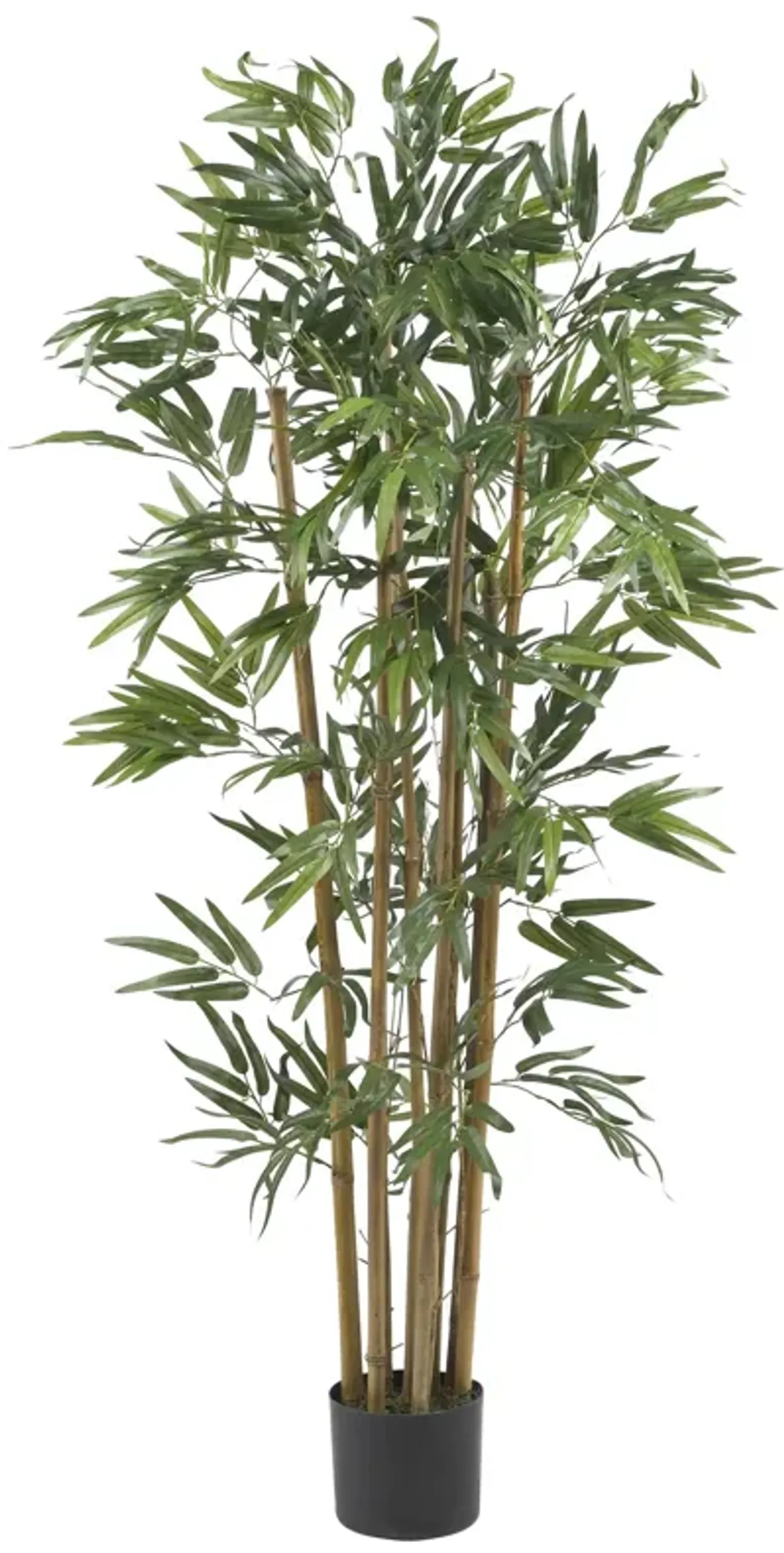 Hivvago 4 Feet Multi Bambusa Bamboo Silk Tree