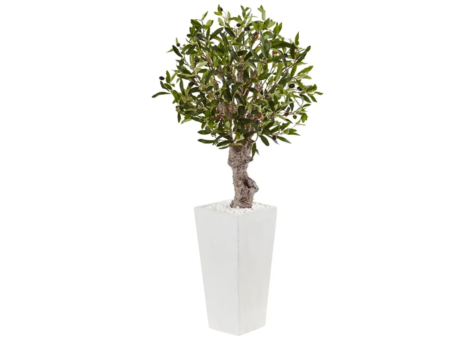 HomPlanti 3.5 Feet Olive Tree in White Tower Planter