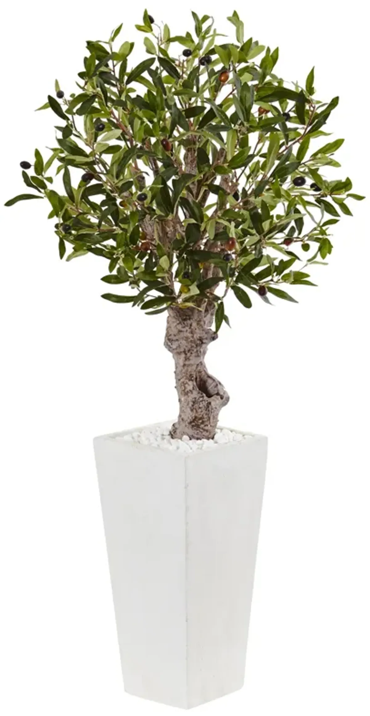 HomPlanti 3.5 Feet Olive Tree in White Tower Planter