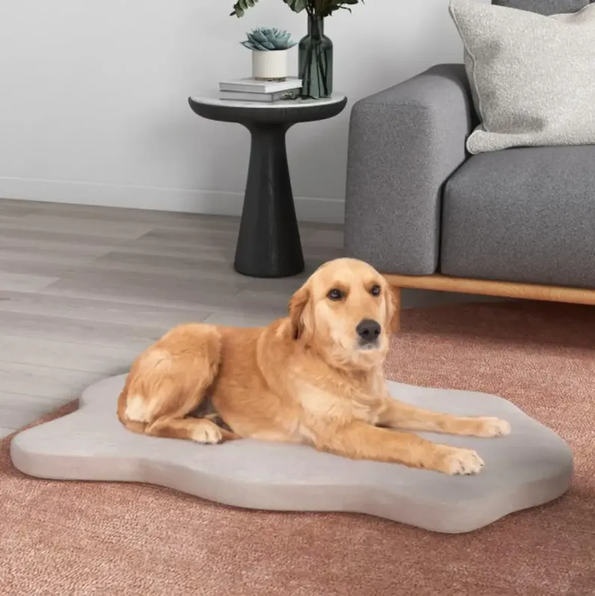 Hivvago Orthopedic Dog Bed with Memory Foam Support for Large Dogs