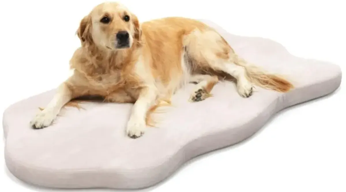 Hivvago Orthopedic Dog Bed with Memory Foam Support for Large Dogs