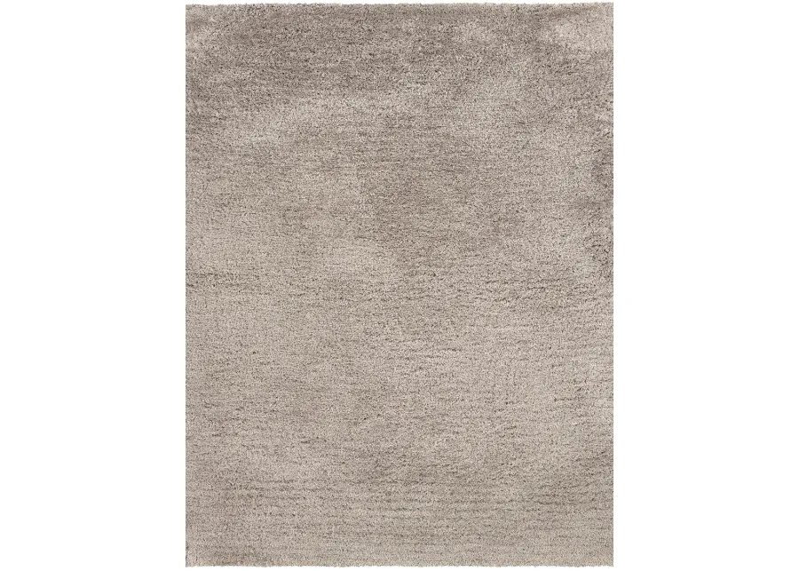 Cosmo 5' x 7' Beige Rug