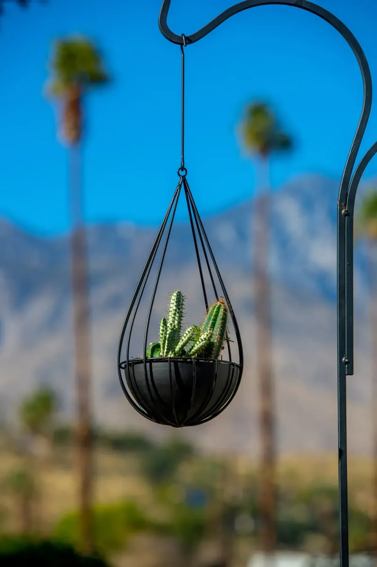 Raindrop Planters-set of 2 (small + large)-matte black