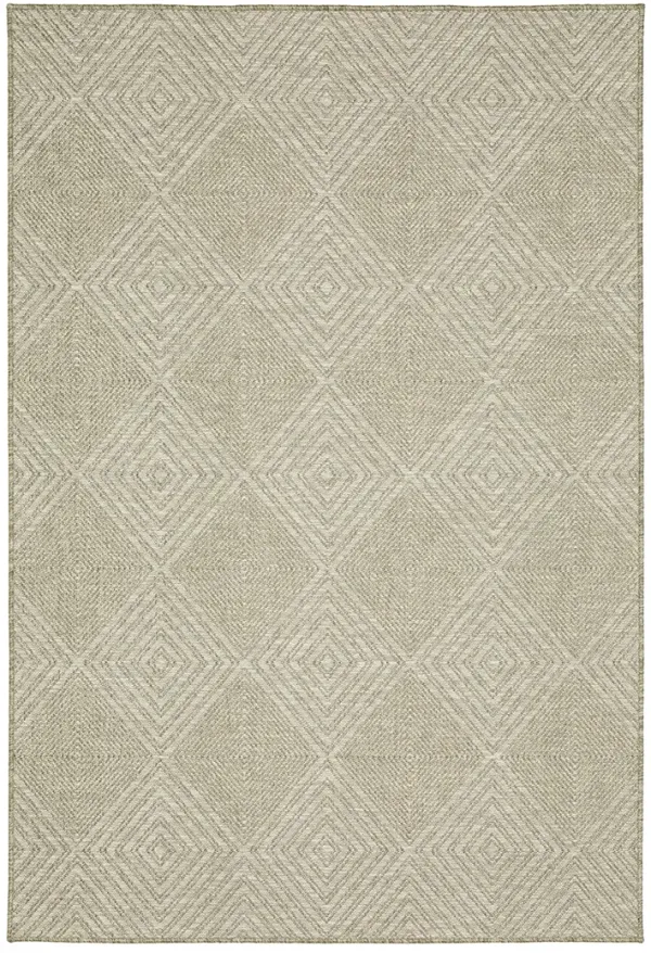 Tortuga 3'3" x 5' Beige Rug