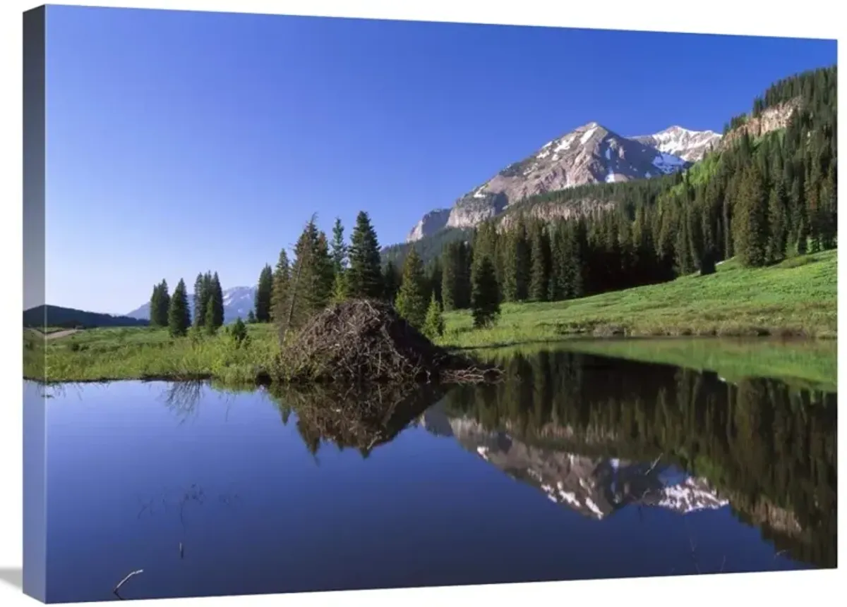 Gothic Mountain and Beaver Lodge, near Crested Butte, Colorado-Canvas Art-32x24