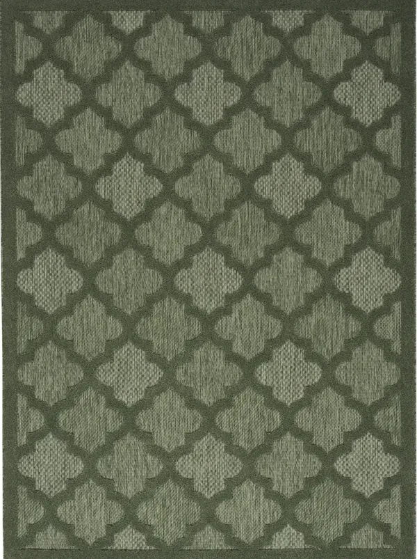 Easy Care NES01 Green 6' x 9' Rug