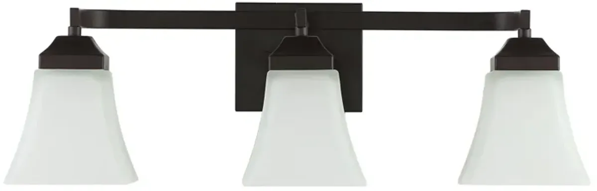 Staunton Iron/Glass Modern Cottage LED Vanity Light