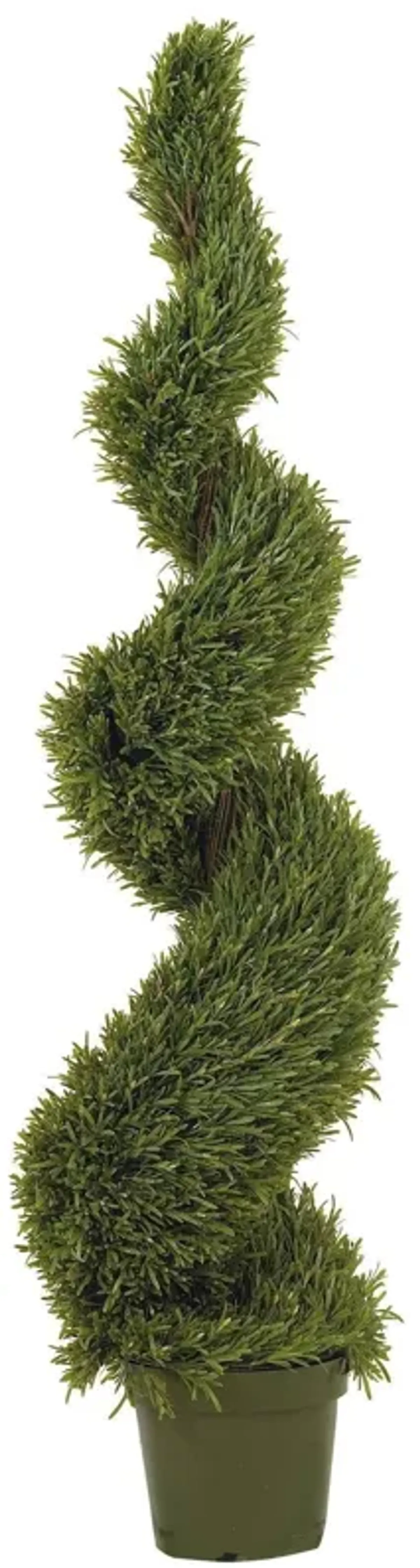 Nearly Natural 5-ft Rosemary Spiral Tree w/2184 Lvs