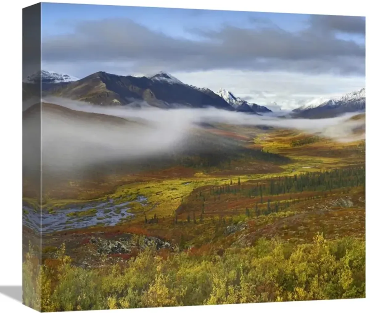Fog over tundra, Tombstone Range, Tombstone Territorial Park, Yukon, Canada-Canvas Art-16x14.56