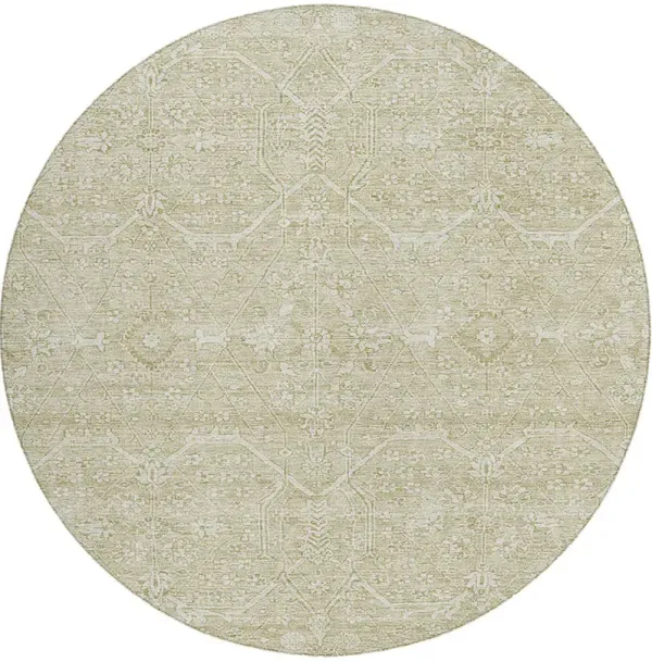 Solace 8' Round Rug