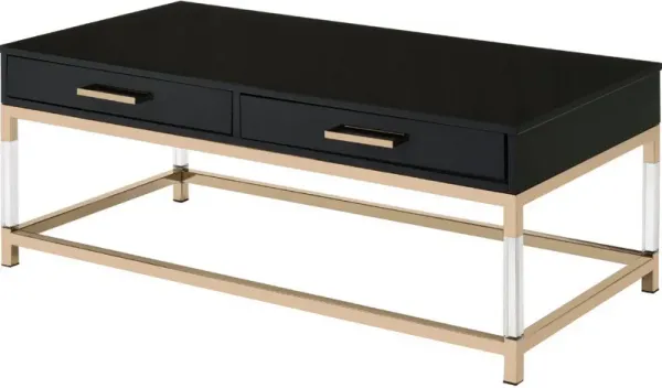 Metal Base Framed Coffee Table, Black and Gold-Benzara