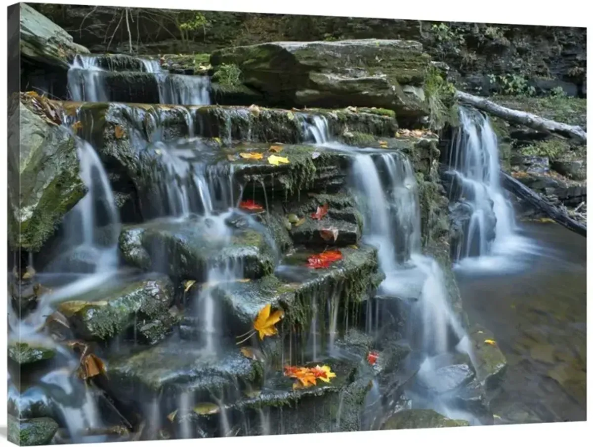 Kitchen Creek cascades, autumn, Ricketts Glen State Park, Pennsylvania-Canvas Art-40x30