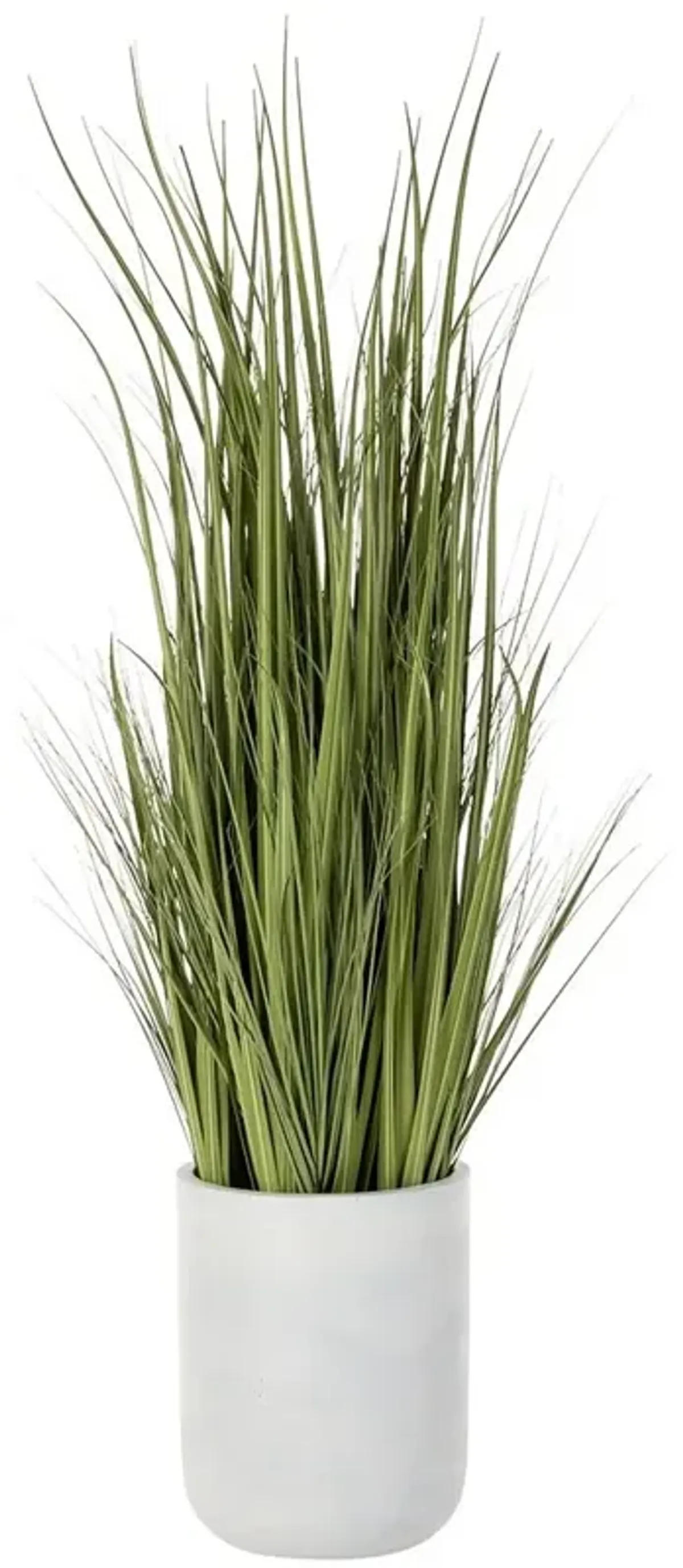 Wild Grass in White Cement Planter
