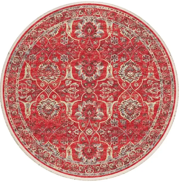 Marbella MB5 Poppy 10' Rug