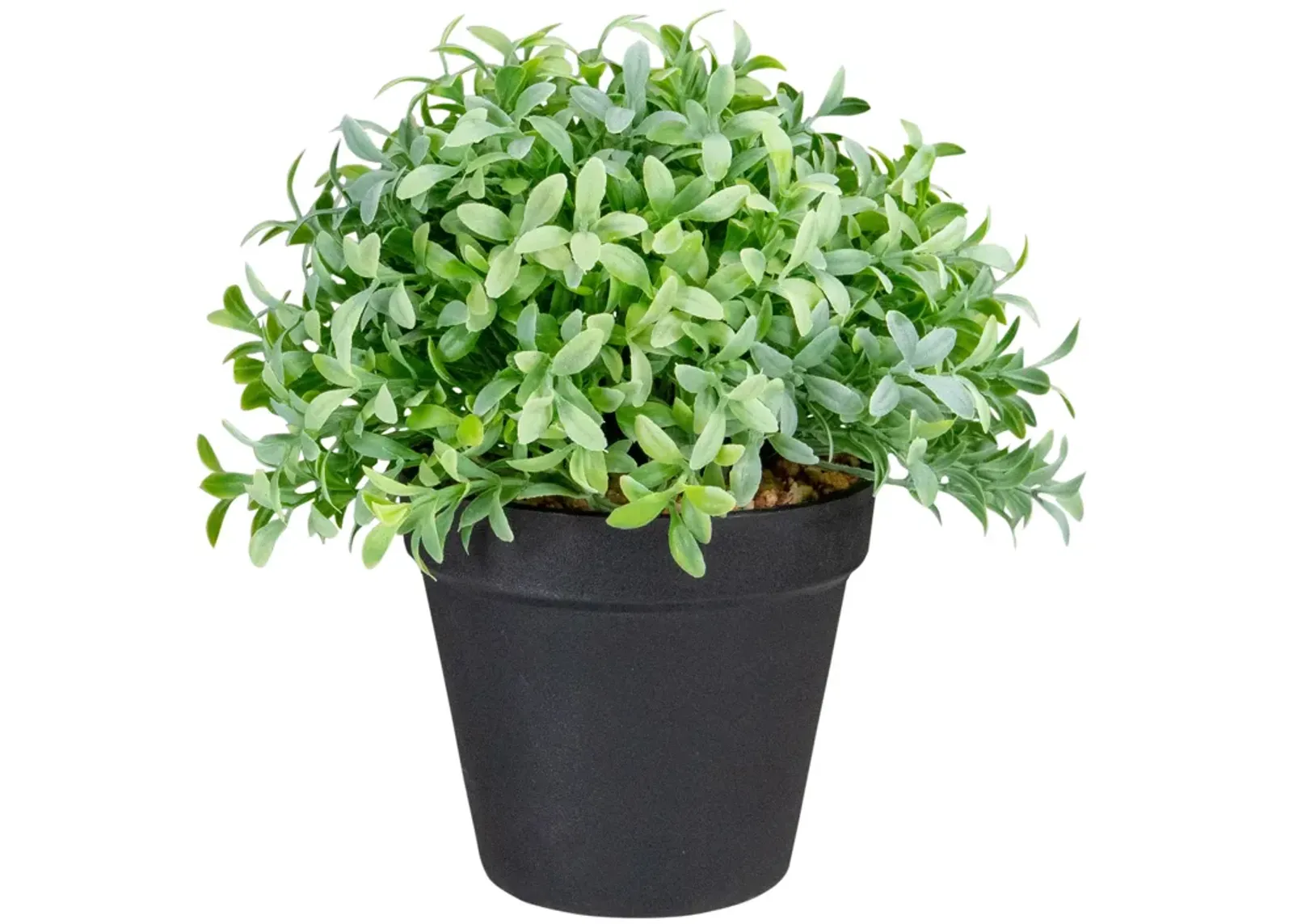 7.5" Potted Green Artificial Boxwood Plant