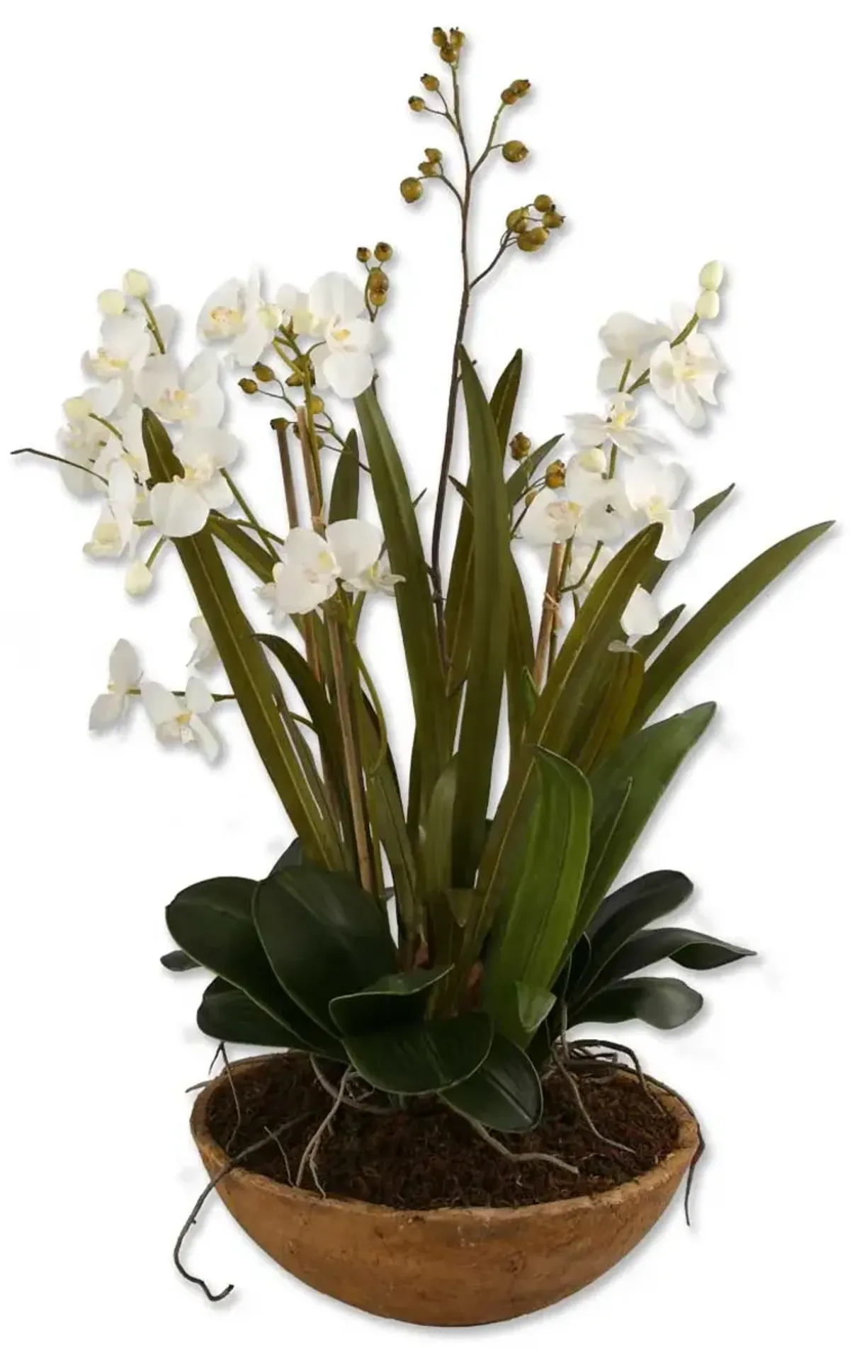 Uttermost Moth Orchid Planter