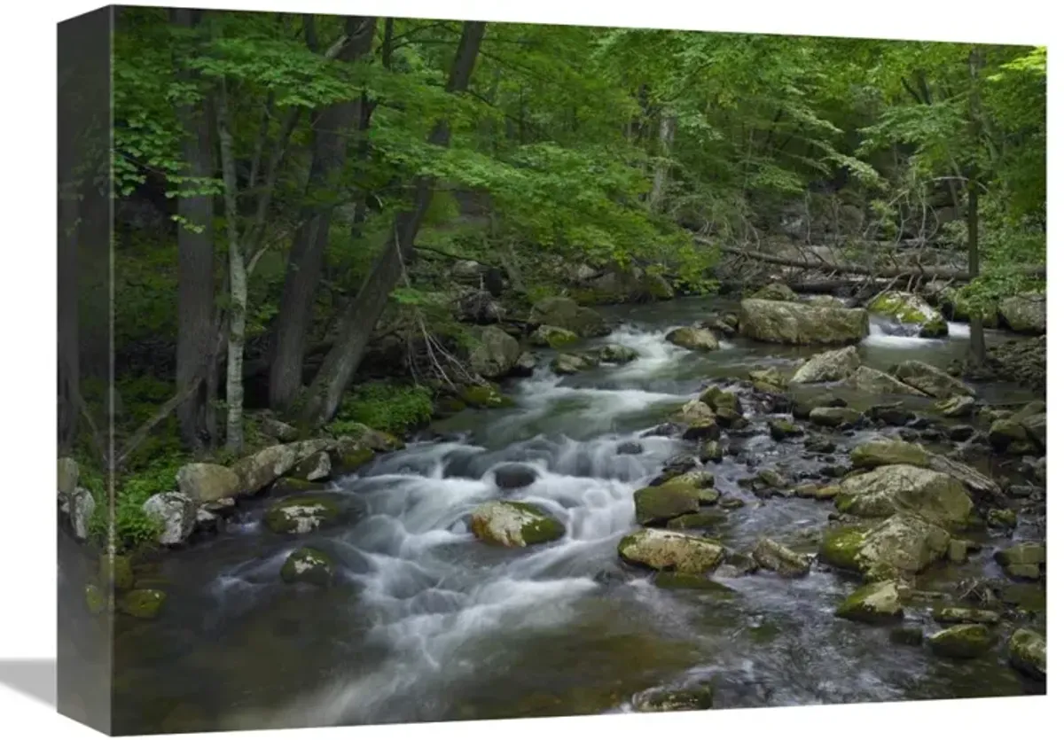 Little Stony Creek flowing through Jefferson National Forest, Virginia-Canvas Art-16x12