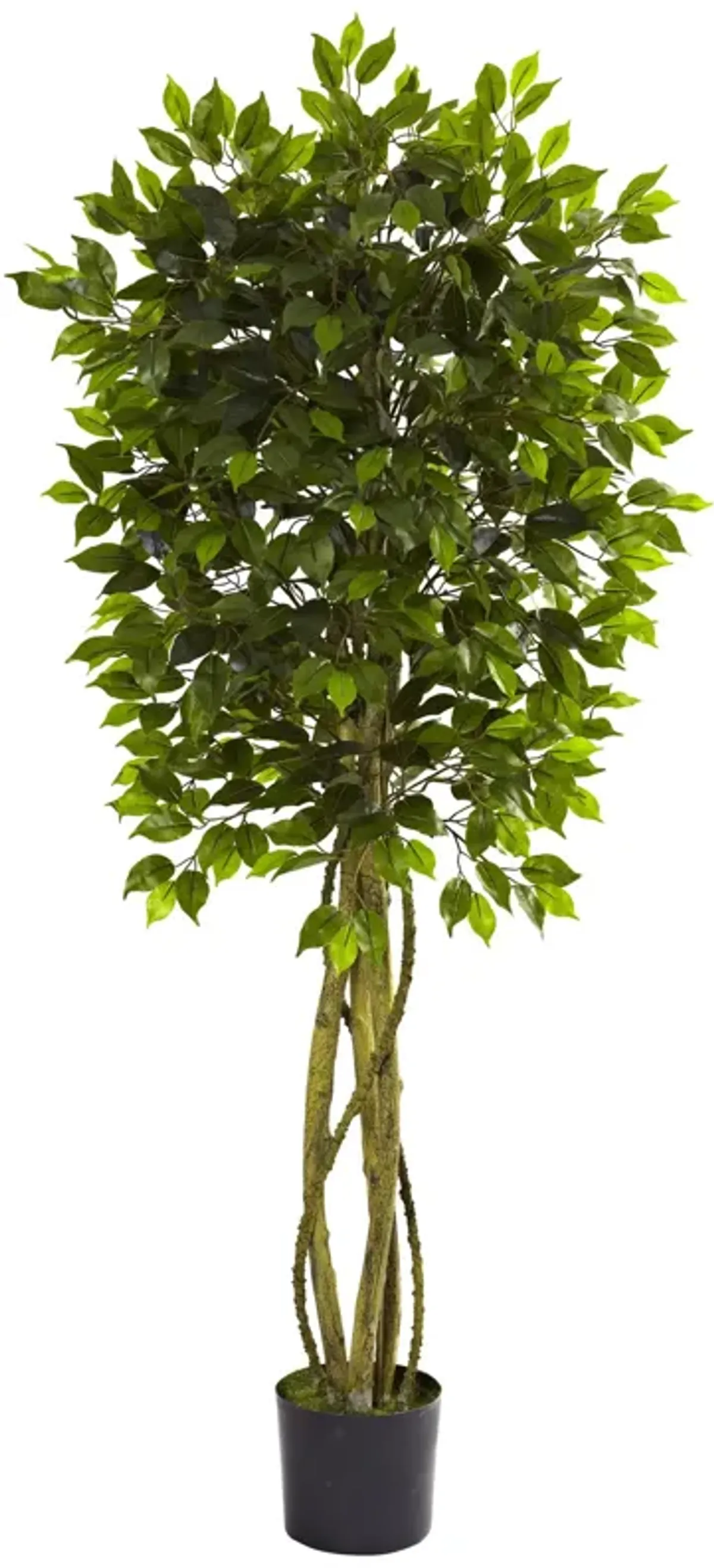 Hivvago 5.5 Feet Ficus Tree UV Resistant (Indoor/Outdoor)