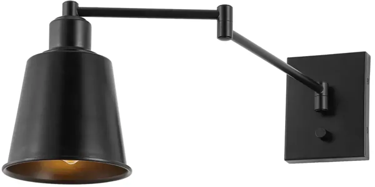 Cary Iron Contemporary Swing Arm LED Wall Sconce