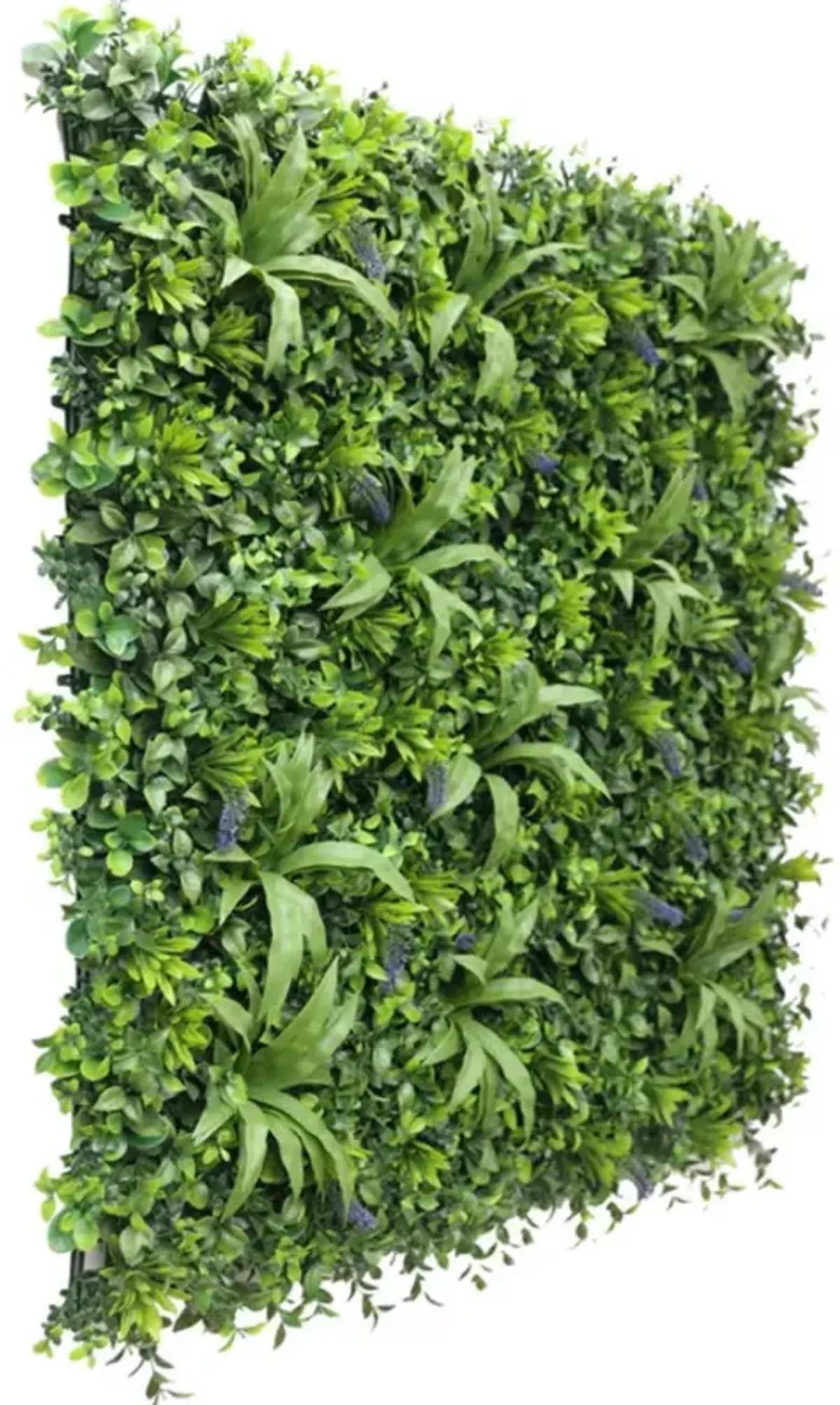 Natural Artificial Boxwood Wall 40" x 40" 11SQ FT Commercial Grade UV Resistant