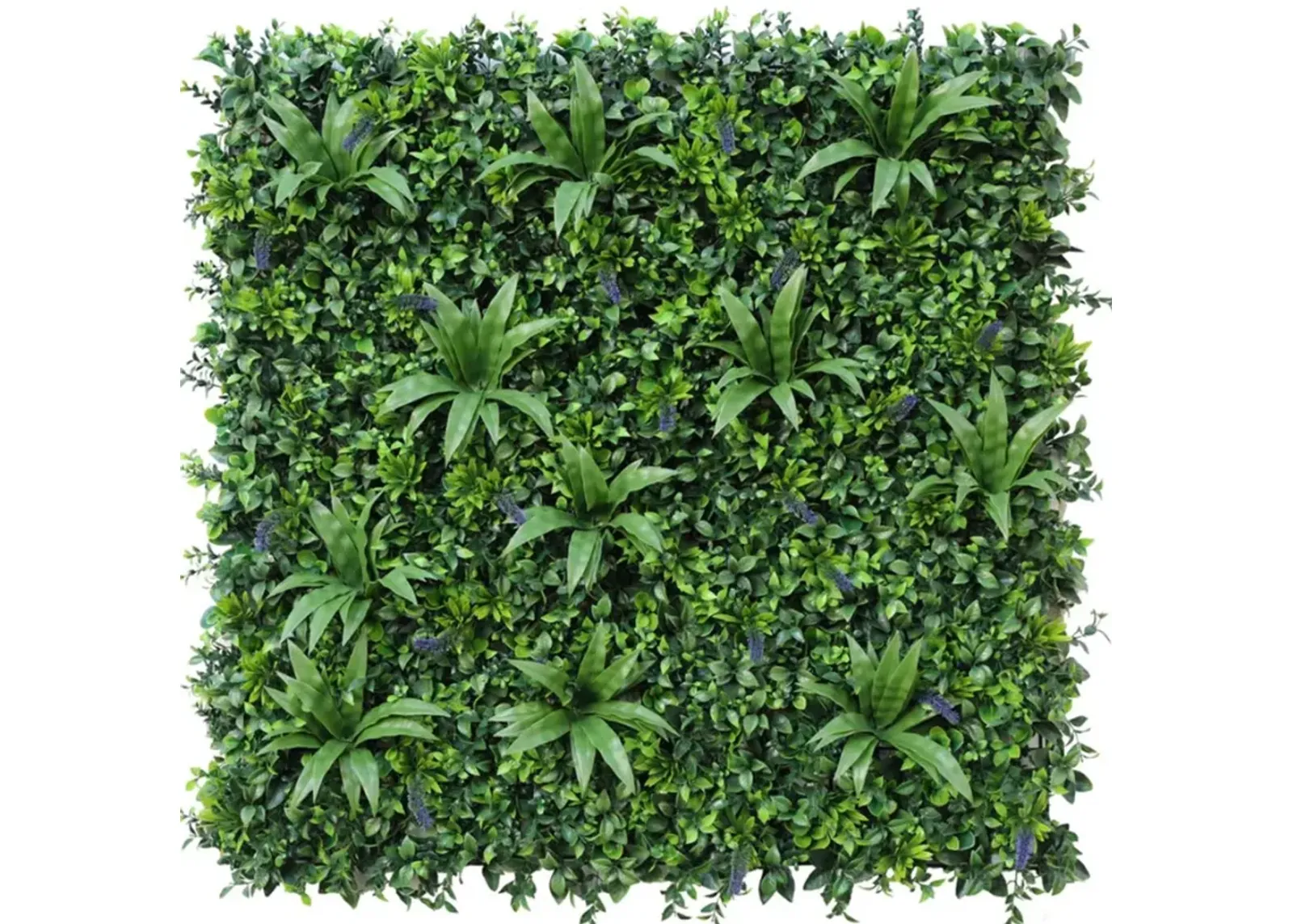 Natural Artificial Boxwood Wall 40" x 40" 11SQ FT Commercial Grade UV Resistant