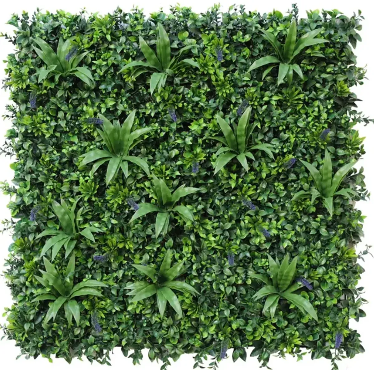 Natural Artificial Boxwood Wall 40" x 40" 11SQ FT Commercial Grade UV Resistant