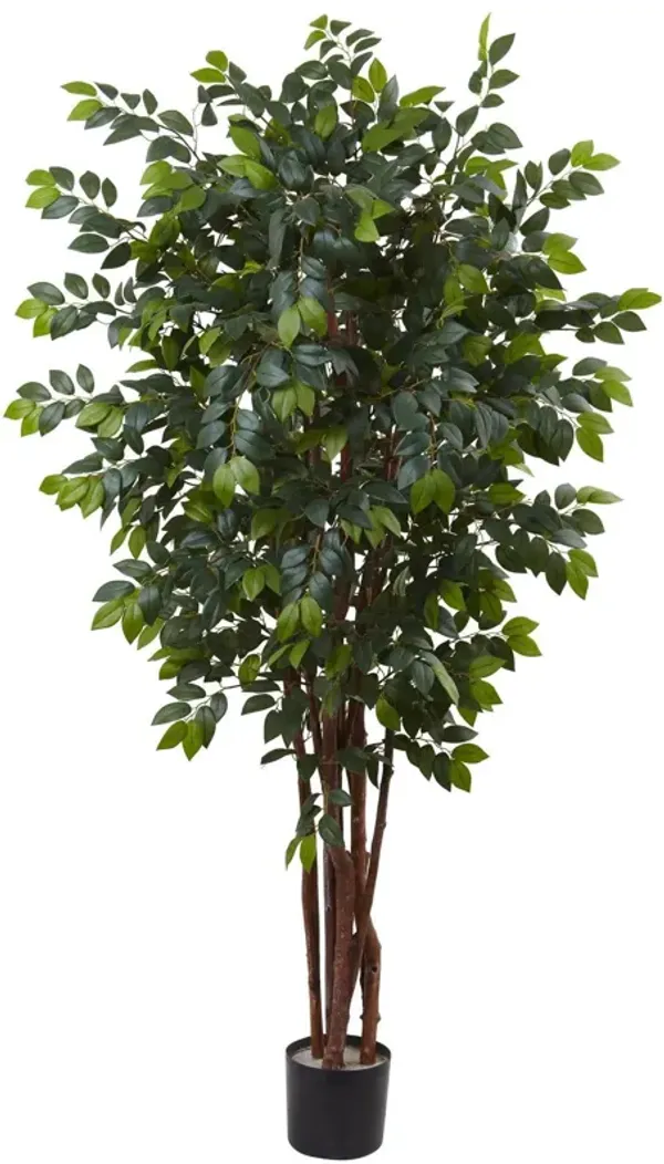 Nearly Natural 7-ft Sakaki Tree x 4w/ 1862 Lvs.