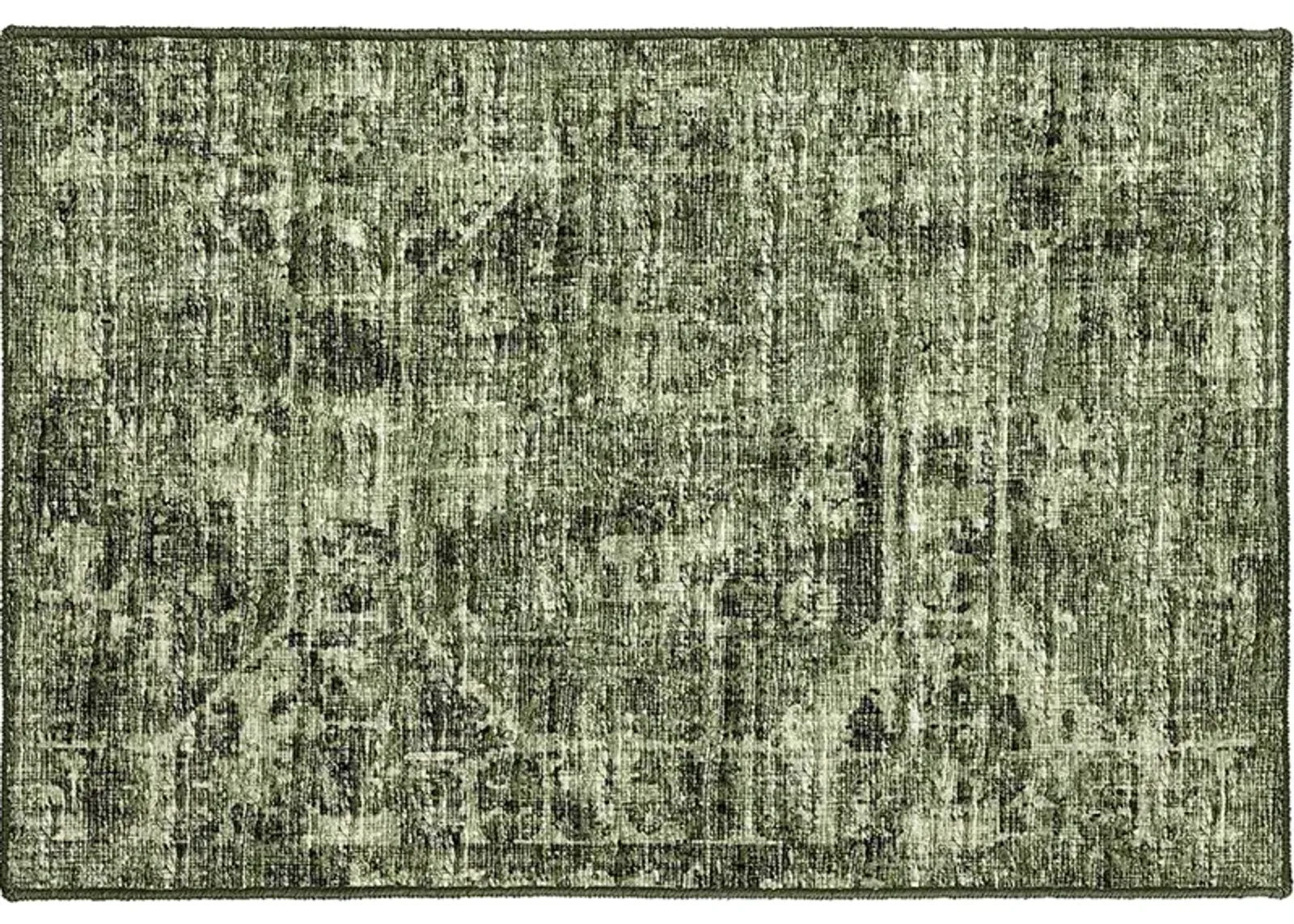 Aberdeen AB2 Cactus 20" x 30" Rug