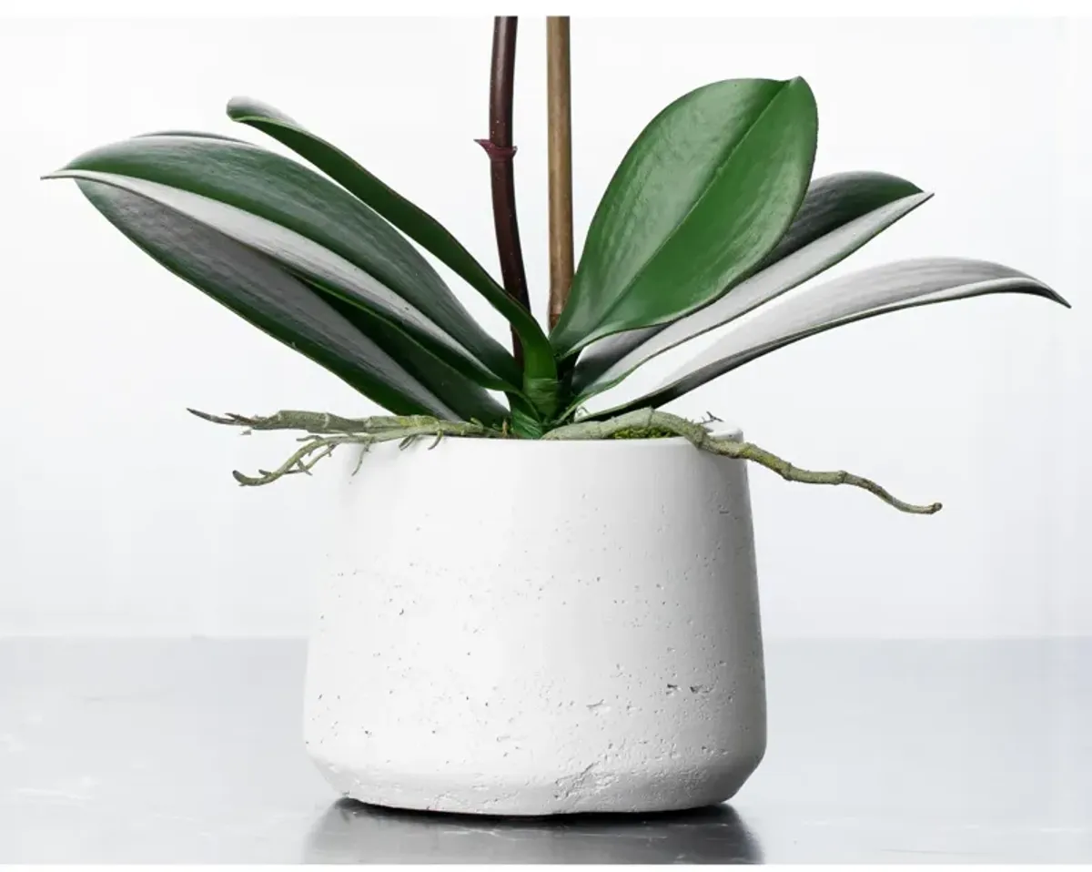 Artificial Orchid Plant - White Orchid- 21"