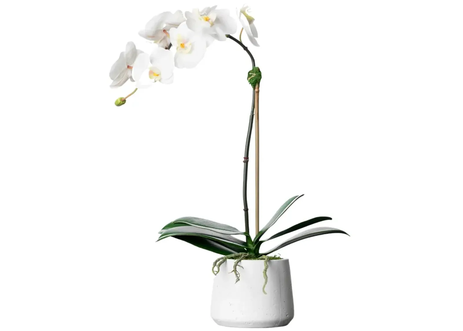 Artificial Orchid Plant - White Orchid- 21"